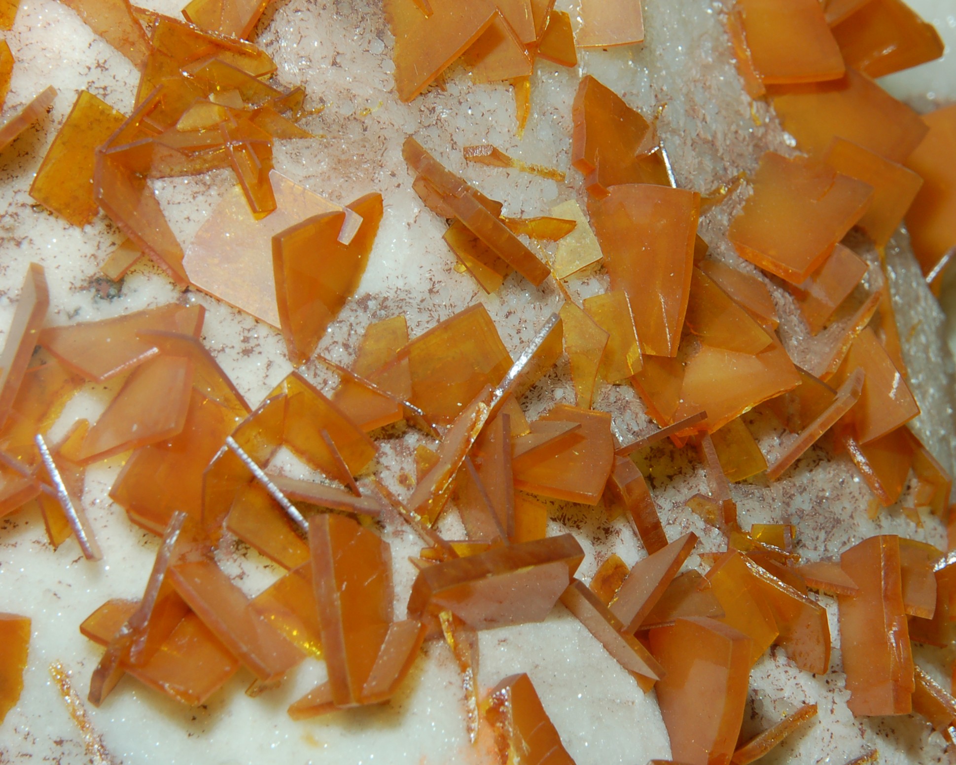 Wulfenite 8x10 resize.jpg