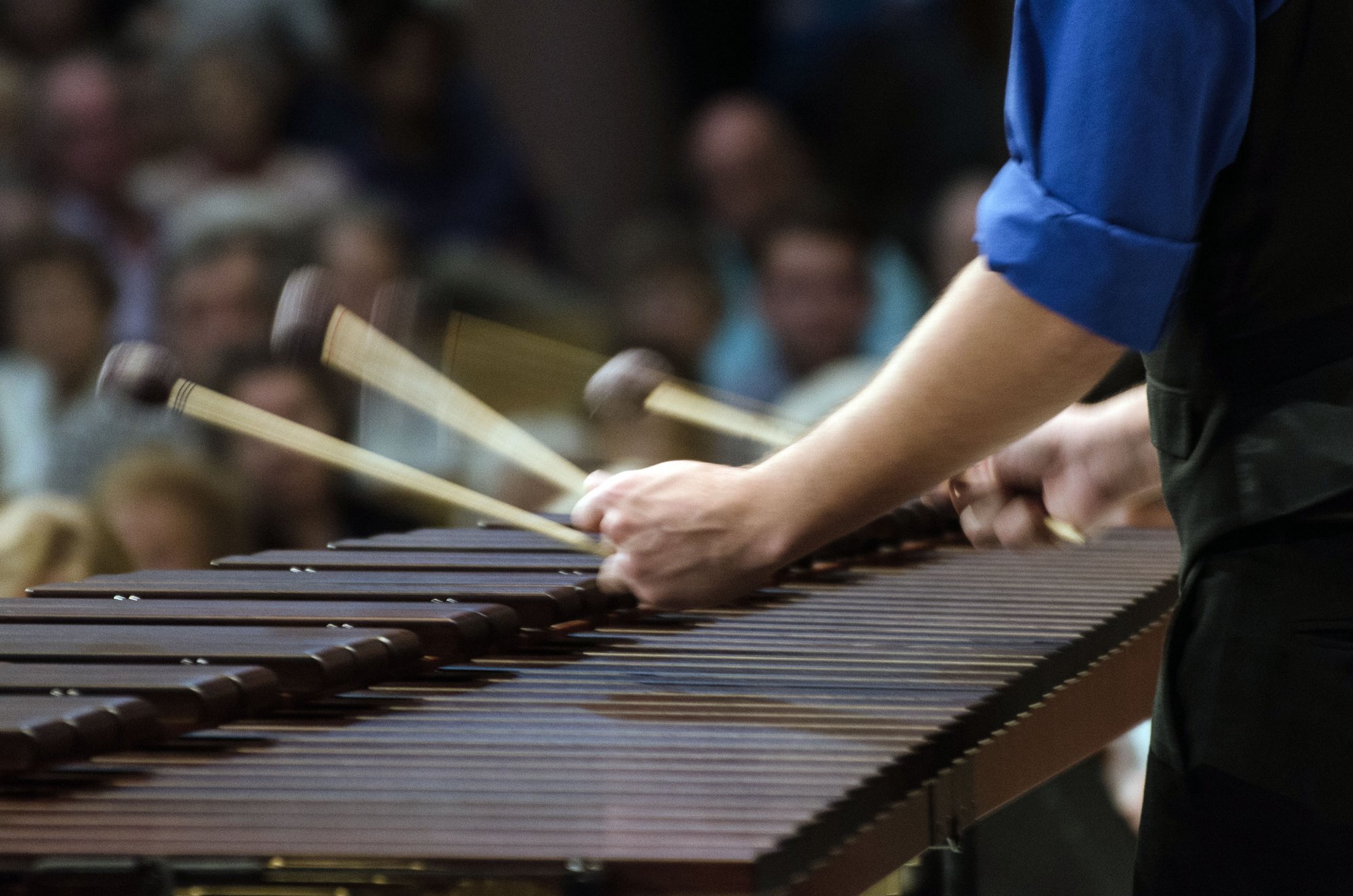 Xylophone - 2500px.jpg