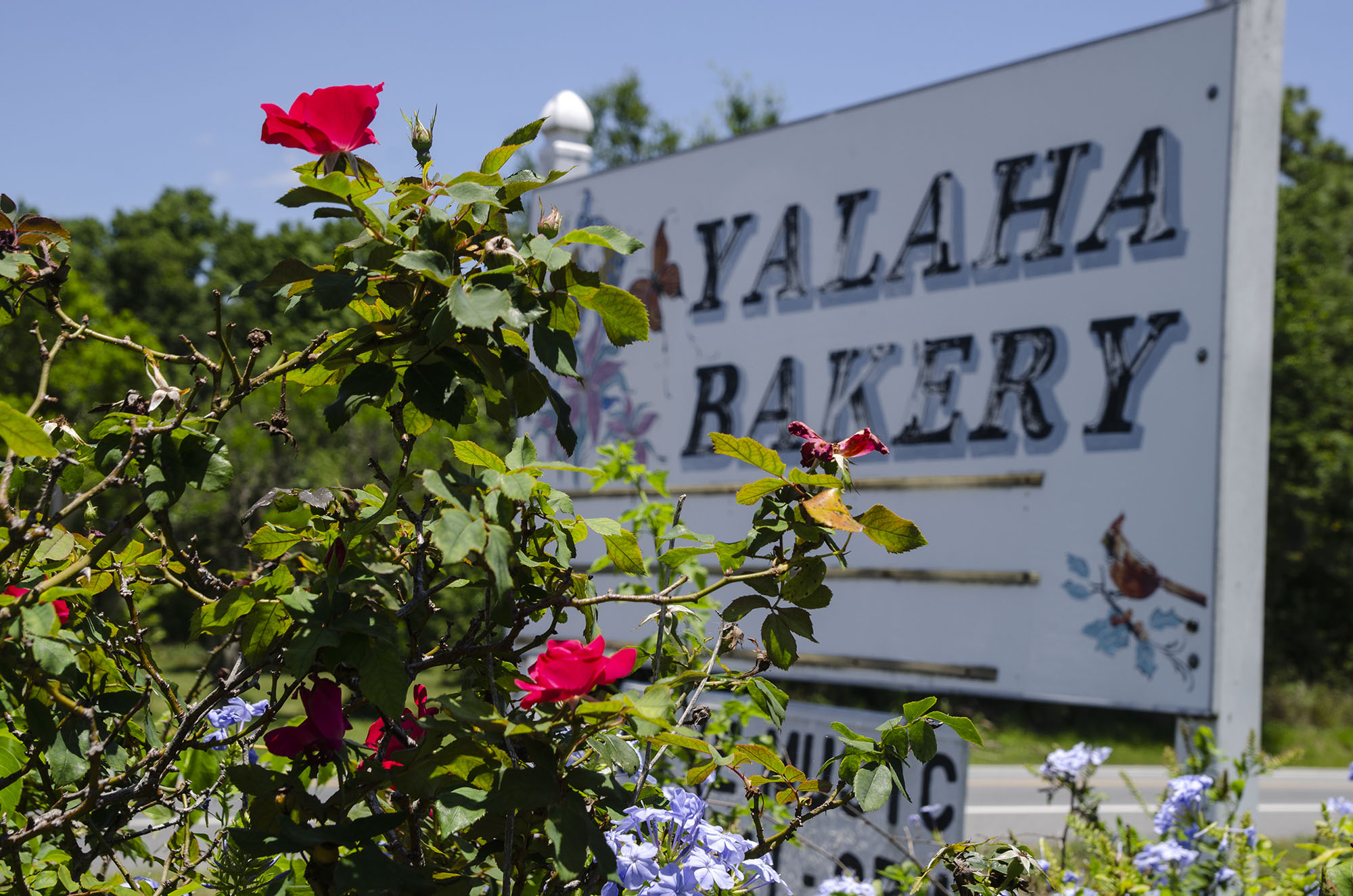 Yalaha Bakery 3 - 2000px.jpg