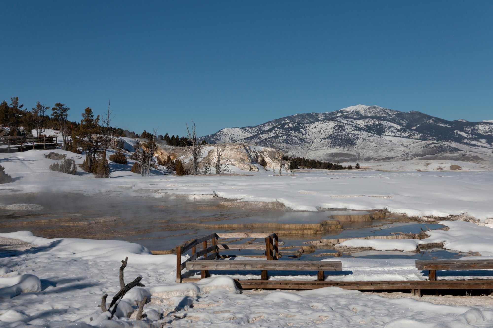 Yellowstone_IMG_9061.jpg