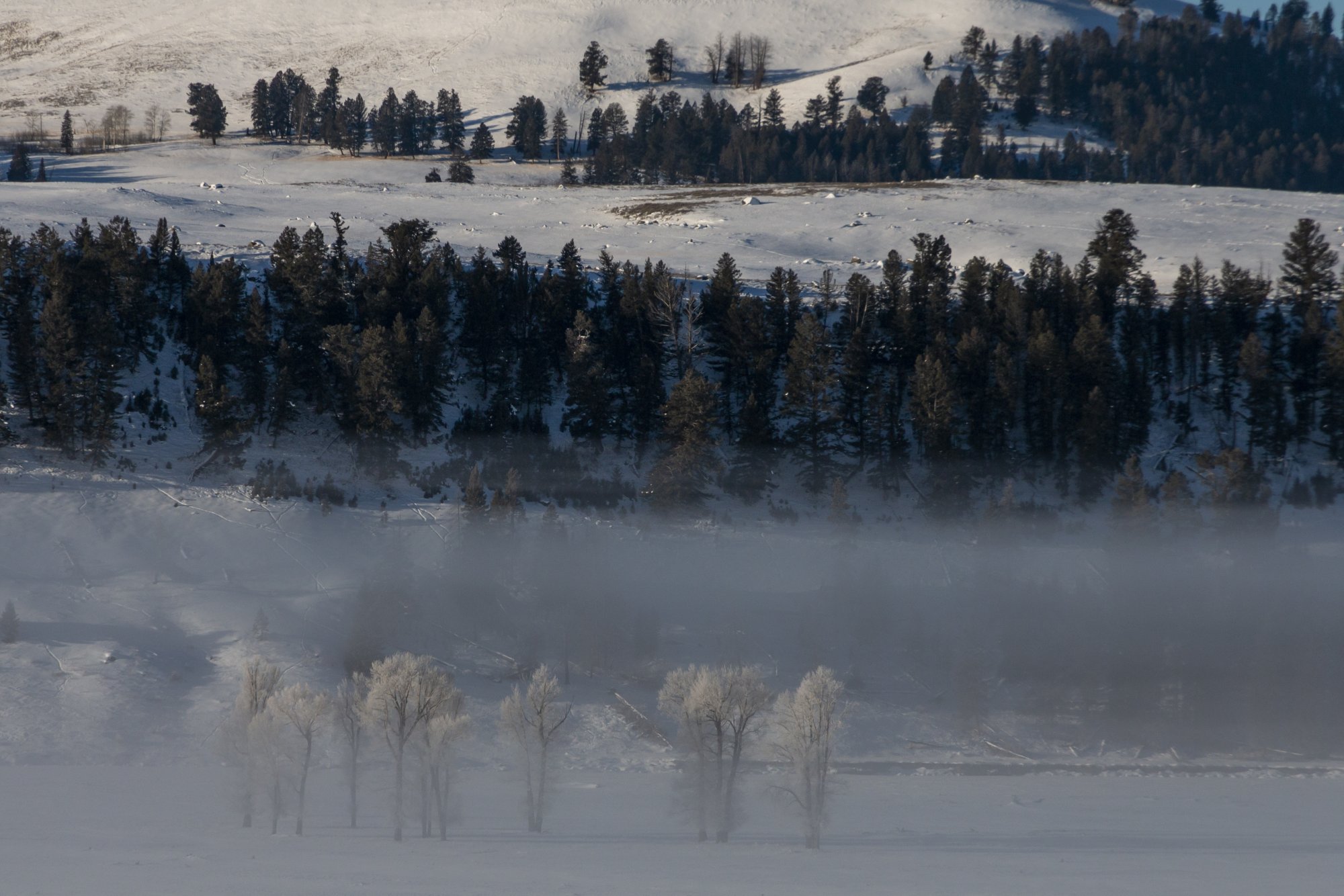 Yellowstone_IMG_9255.jpg