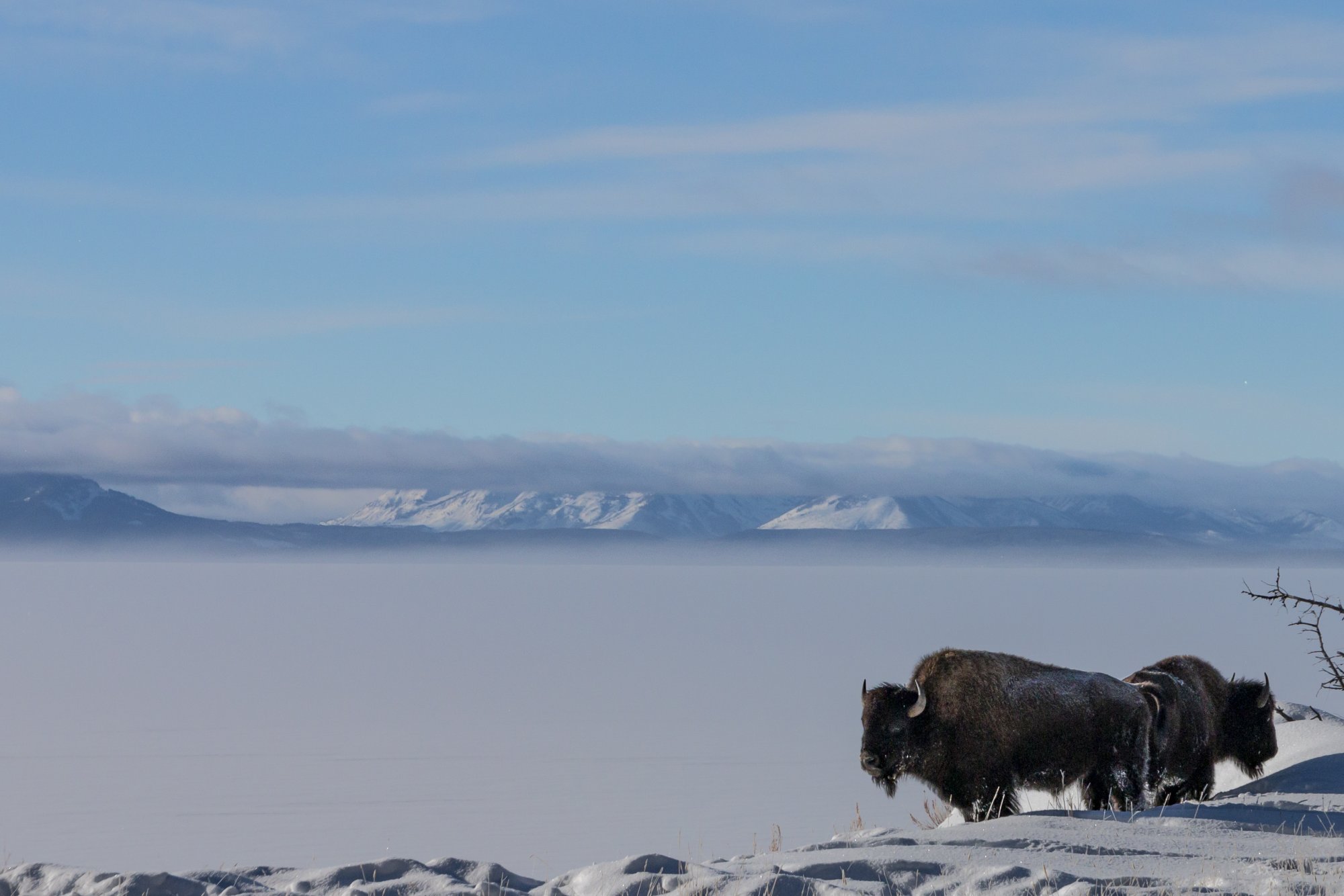 Yellowstone_IMG_9579.jpg