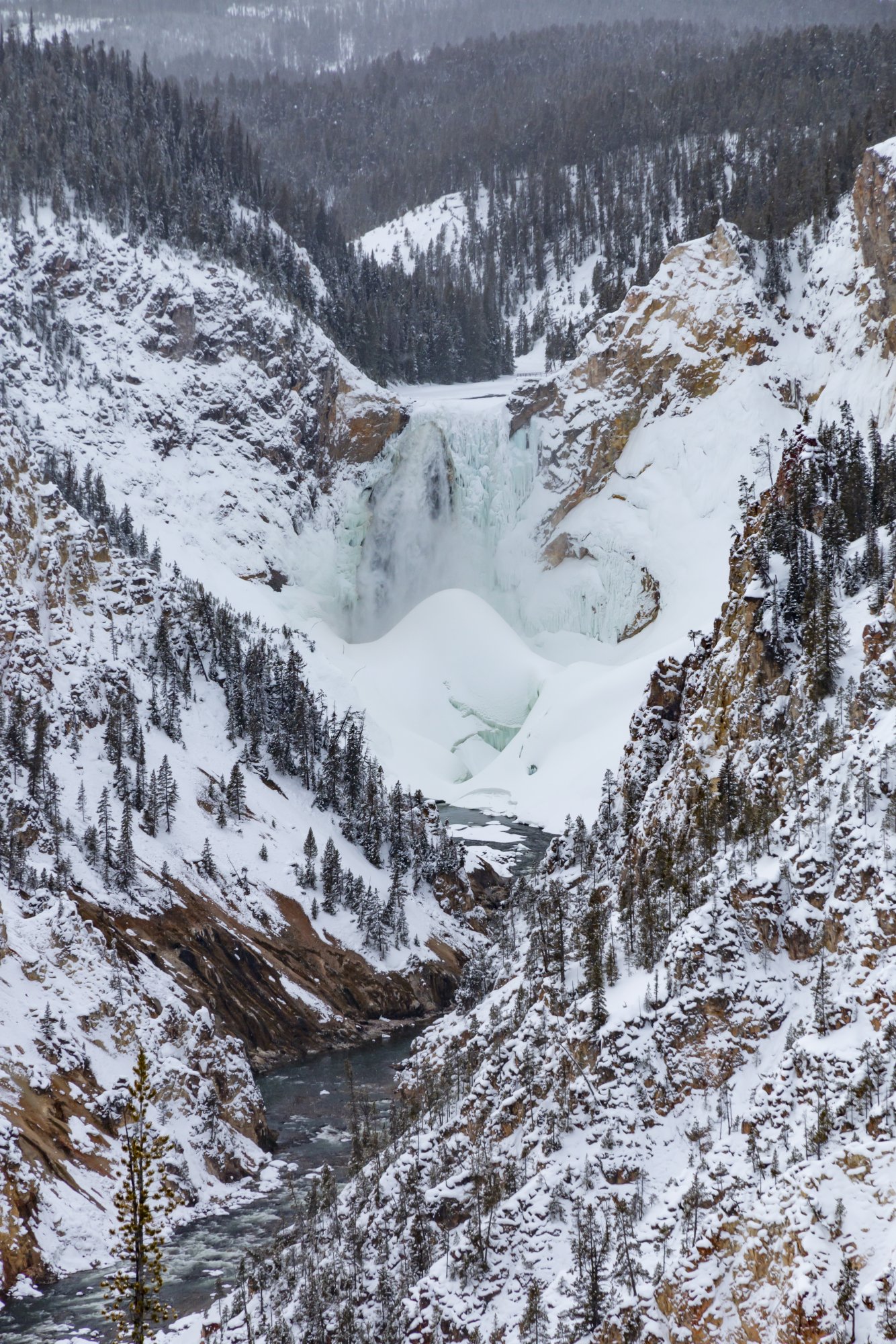 Yellowstone_IMG_9646.jpg