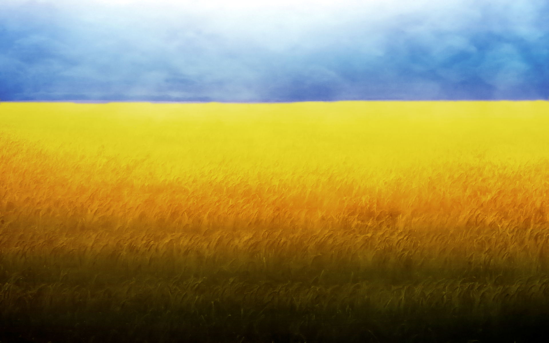 yellowwheat.png