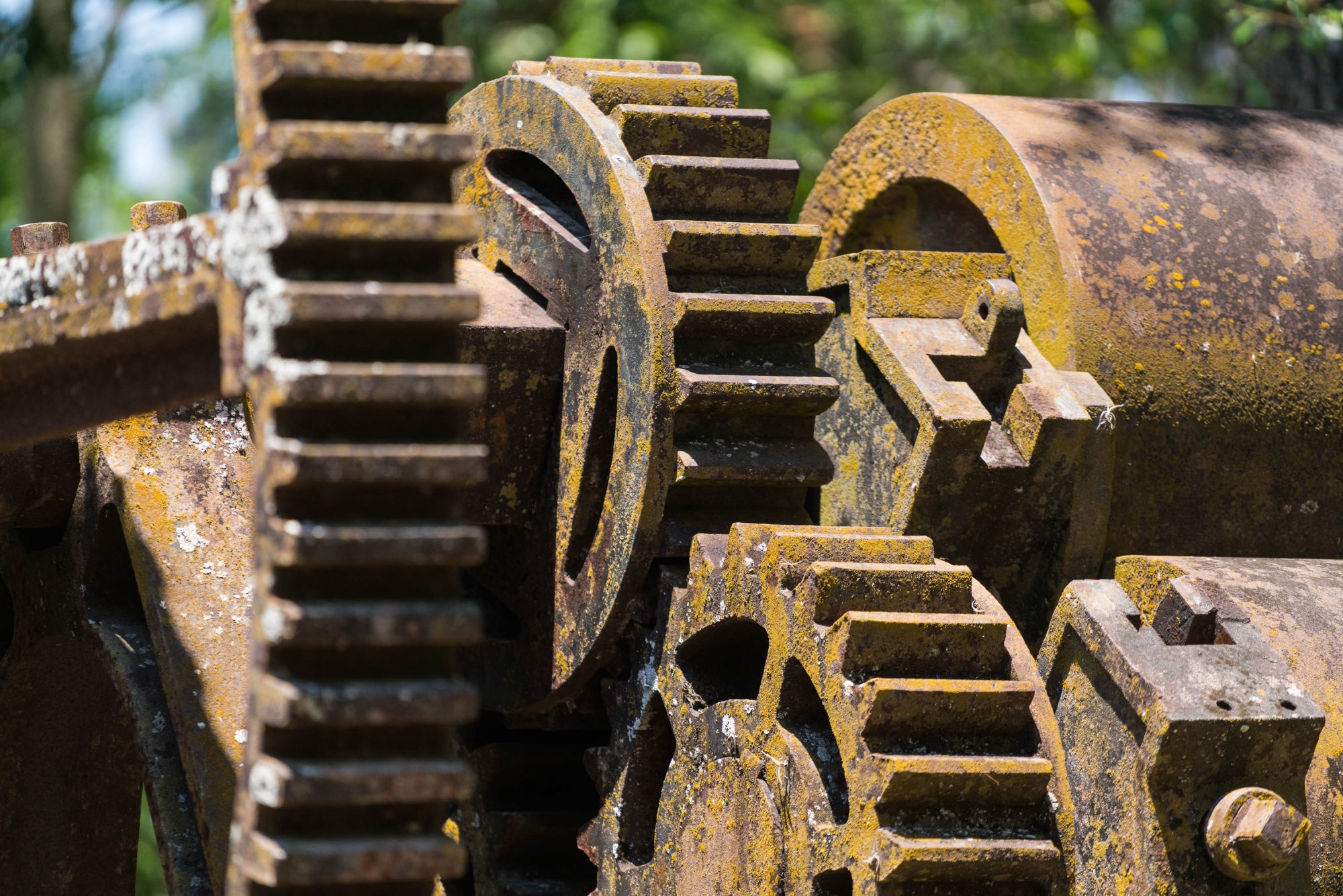 Yulee Sugar Mill-1.jpg