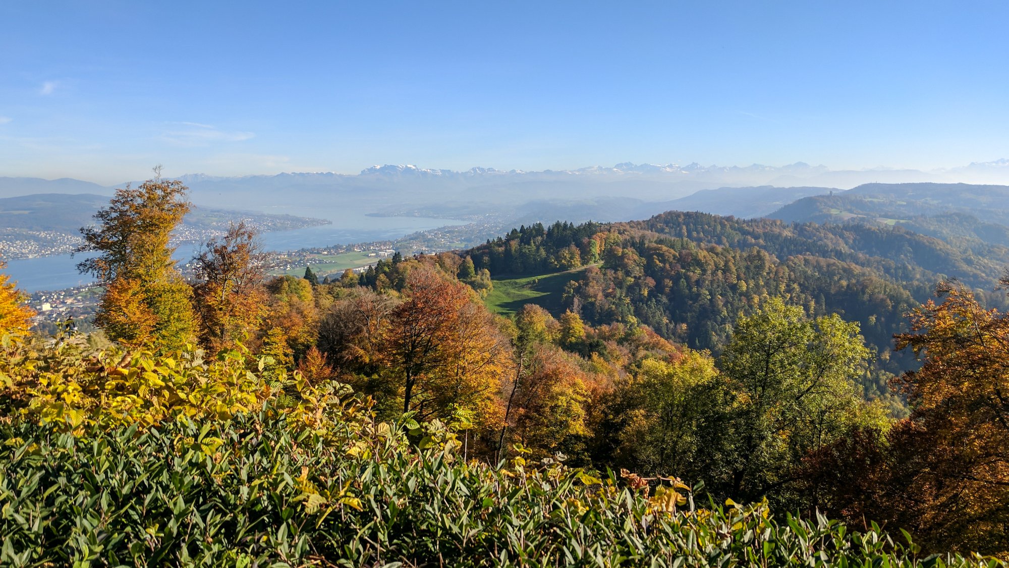 Zurichsee.jpg