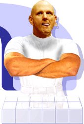 ballmer_mr_clean.jpg