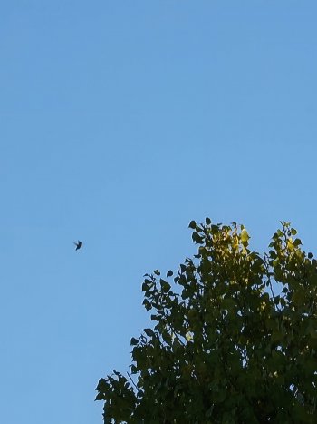 20210930_072609.jpg