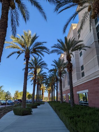 PXL_20211029_171828571.jpg