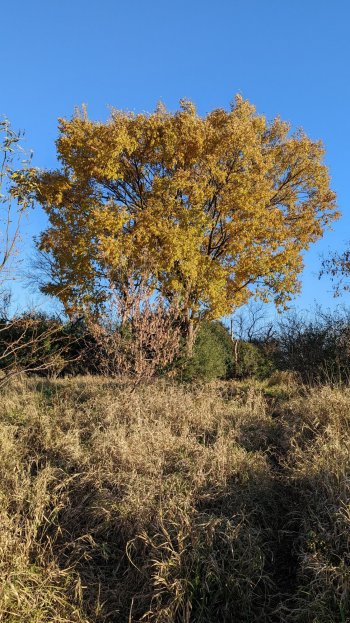 PXL_20211106_210055702.jpg