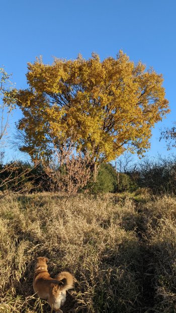 PXL_20211106_210037317.jpg