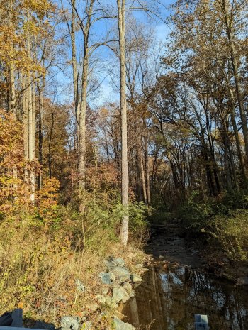 PXL_20211107_201737656.jpg