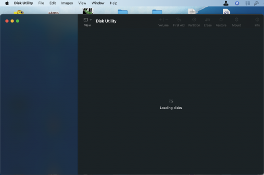 3 restarts of Disk Utility later, it's in slow poke mode "Loading disks".png