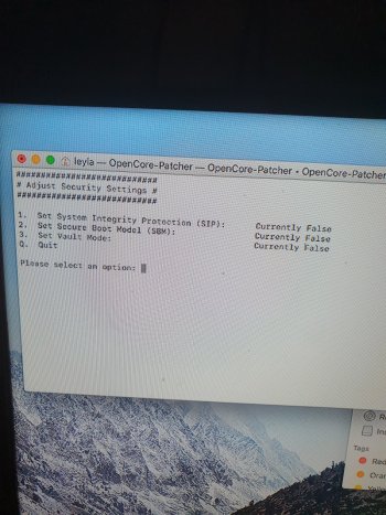 16401183956476448460697821824475.jpg