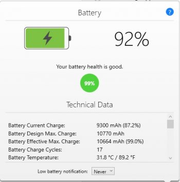 battery health 12.9 ipad 02-01-21.jpg