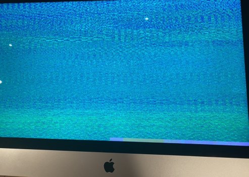E869B6DE-9388-4F08-8688-F473AD422A3D.jpeg