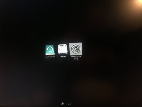 9FCD2E26-D8F1-4BF6-A6C3-EEC371F0F438.jpeg
