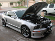 Mustang 1 fr rt hood upSMALL.jpg