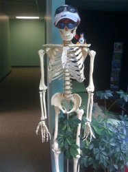 skeleton.jpg