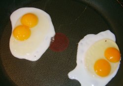 double yoke.jpg