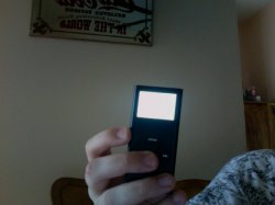 Photo 4.jpg