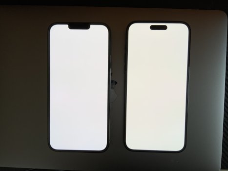 Self phones.jpg