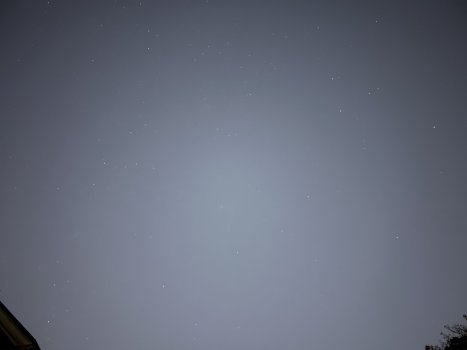 256A486A-39C6-4928-97D3-D6673370466D.jpeg