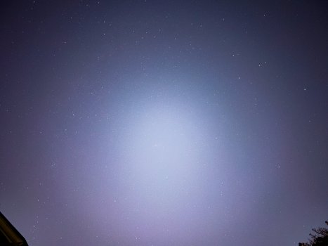 83ED2F87-1FA8-4968-A41A-4AEBD082B673.jpeg
