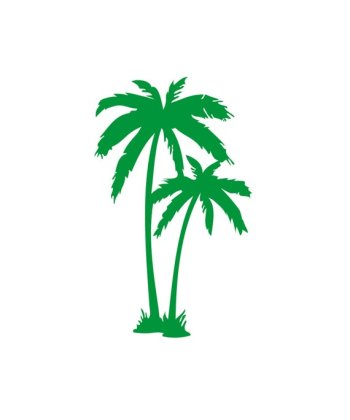 ALHE PALM.jpg