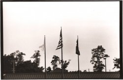 flags 3.jpg