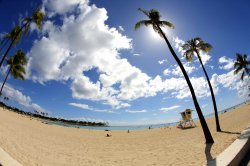 Ala Moana Beach Park 2.jpg