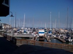 Pier39 SF CA.jpg
