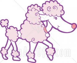 13703_pink_and_white_standard_poodle_dog_with_a_continental_clip_in_profile_walking_to_the_righ.jpg