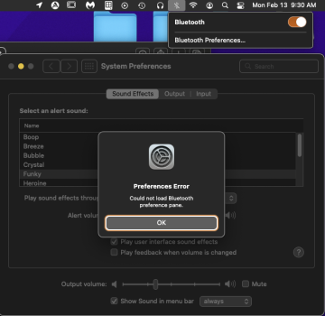Bluetooth Pane Error.png