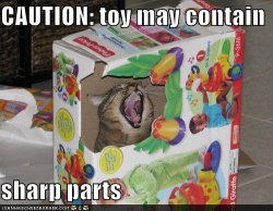 funny-pictures-this-toy-may-contain-sharp-parts.jpg