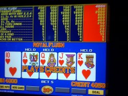 royal flush baby.jpg