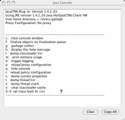 java console.jpg