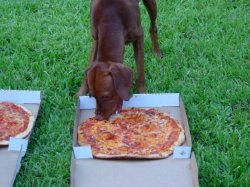 rudy eats first pizza (2).jpg