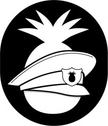 Pineapple-Patrol-D.jpg