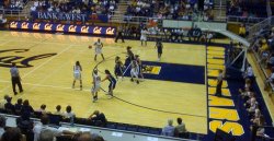 Cal Women's BB.jpeg