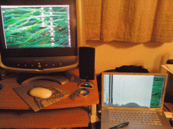 laptop-display.gif