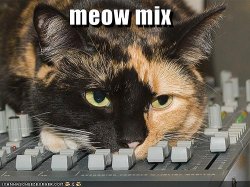 funny-pictures-dj-cat-makes-a-meow-mix1.jpg