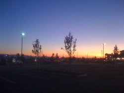 Photo of the Day.JPG