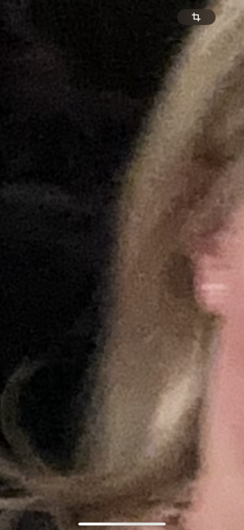 IMG_1211.png