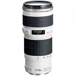 canon_70-200_4L_usm_lens_big.jpg