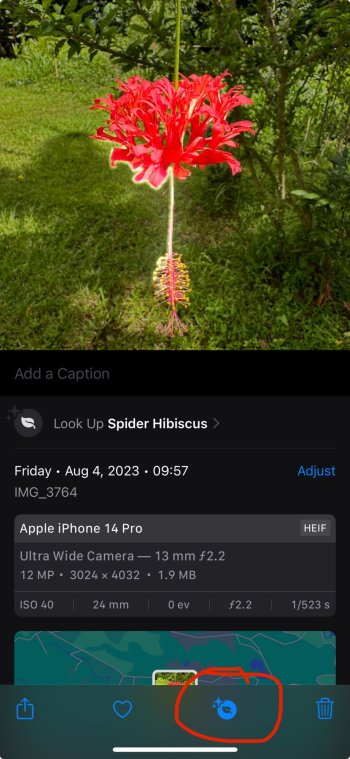 IMG_4900.jpeg