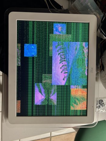 IMG_3443.jpeg