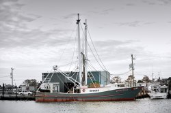 A Trawl Boat.jpg