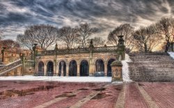 CentralParkSteps-1.jpg