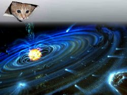 cieling_cat_creates.jpg